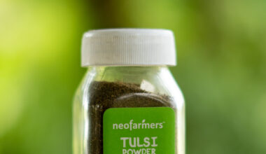 Tulsi Powder