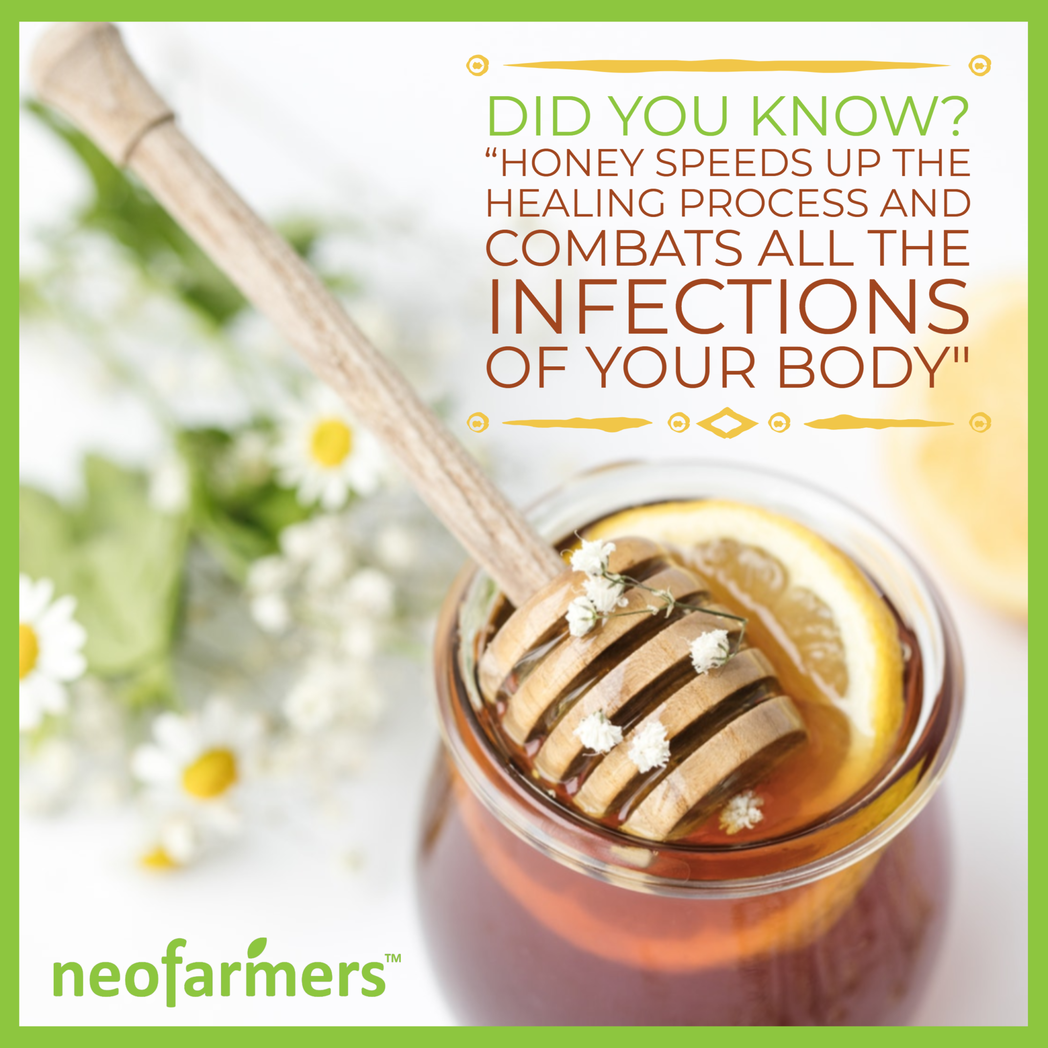 Amazing facts about Honey!