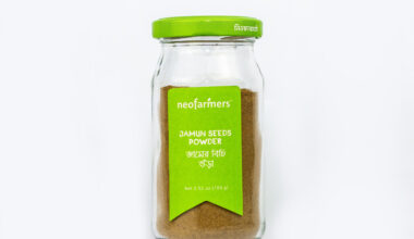 Jamun Seeds Powder