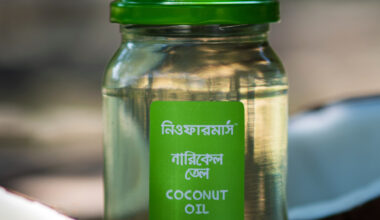 Coconut Oil (Big | 400 ML)